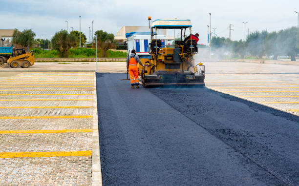 Best Custom Driveway Pavers  in Norris City, IL